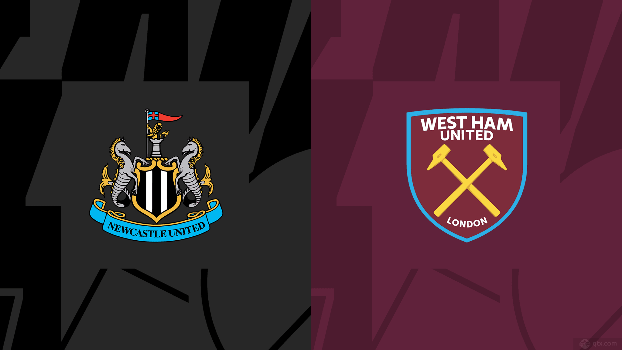 组织不仅是 组织不仅是